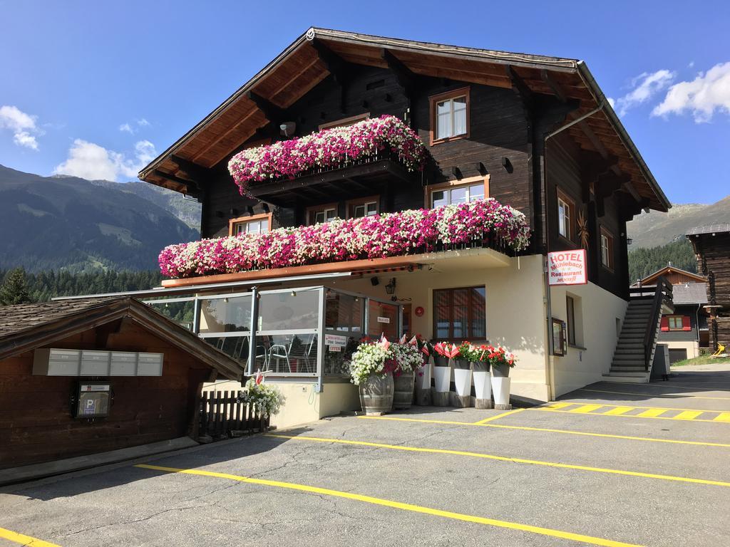 Hotel Haus Muehlebach Ernen Экстерьер фото